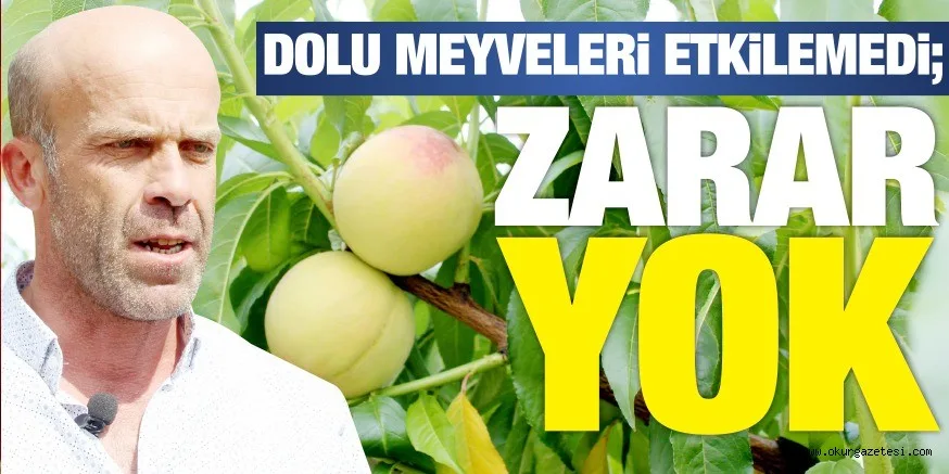 ZARA YOK!