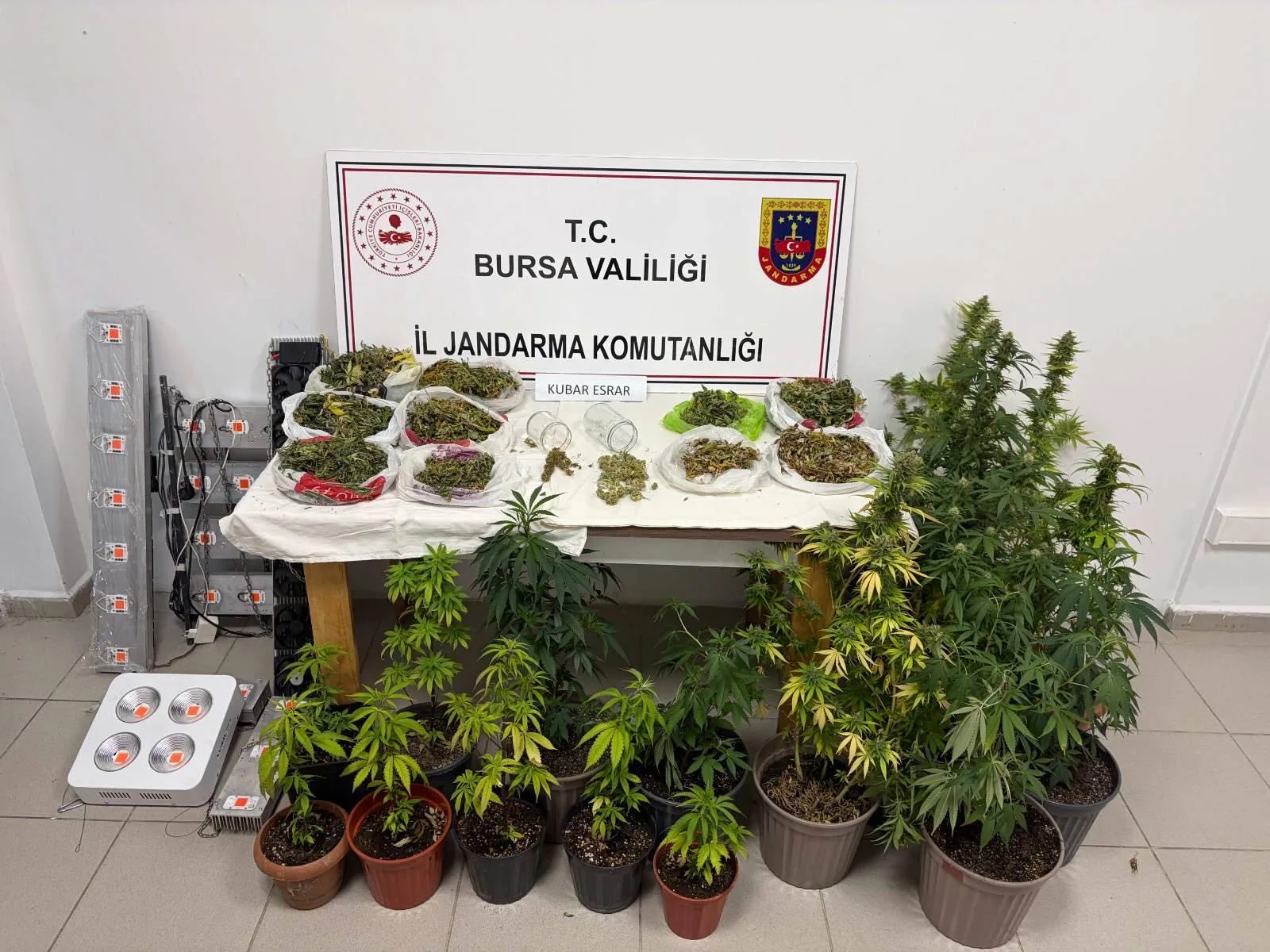 Kategori