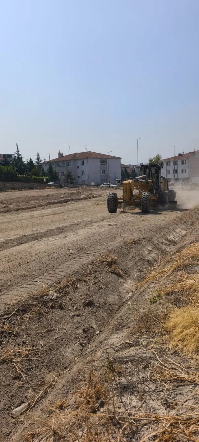 Yağlı Tohumlar (2)