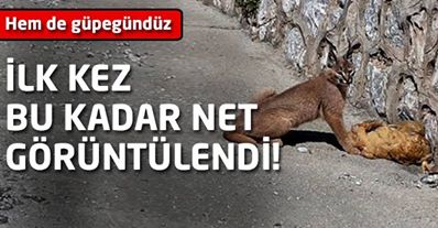 İlk kez bu kadar net görüntülendi