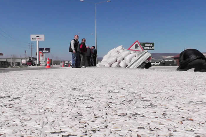 Kazada ayçekirdekleri yola savruldu