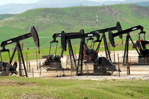 Hangi ilde ne kadar petrol çıkıyor