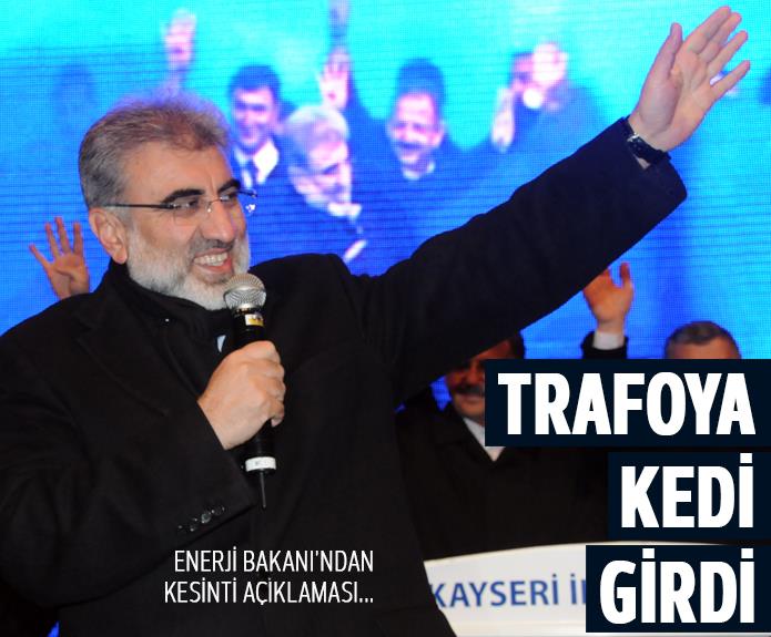 Bakan Yıldız: Trafoya kedi girdi