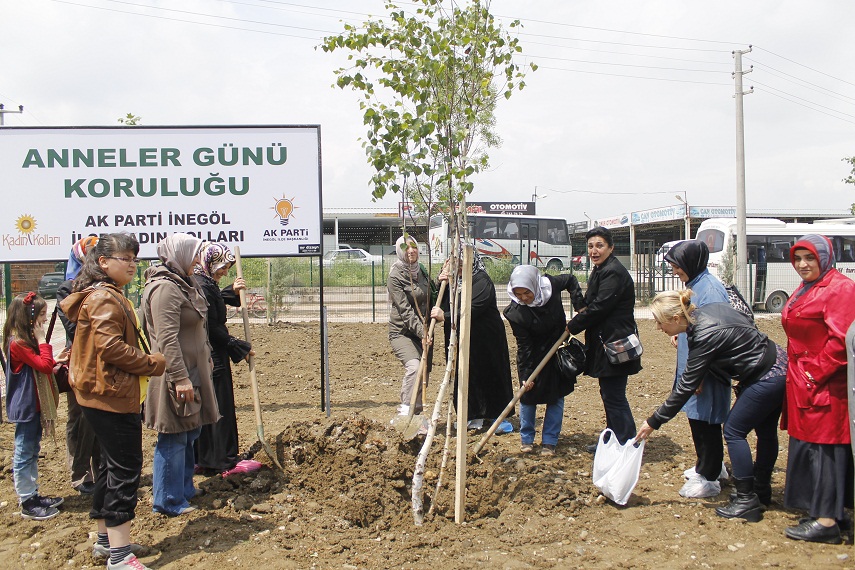 Anneler Günü’ne özel fidan dikimi