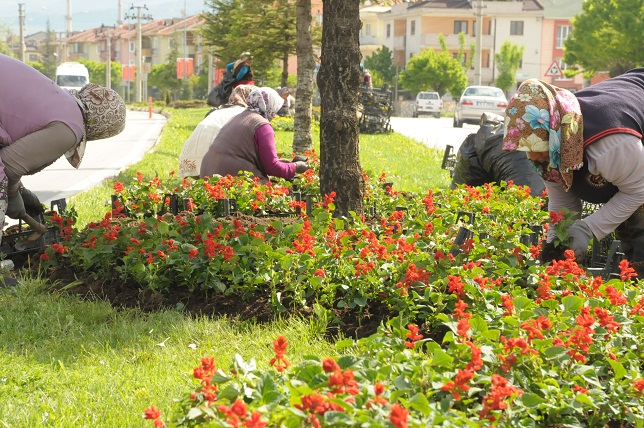 Caddeler çiçeklerle donatılıyor