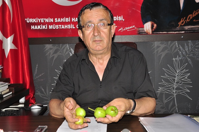 Aşırı yağışın zararı 23 milyon TL