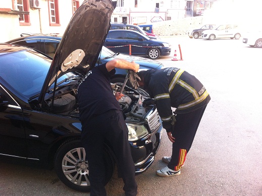 Yavru kedi saklanınca