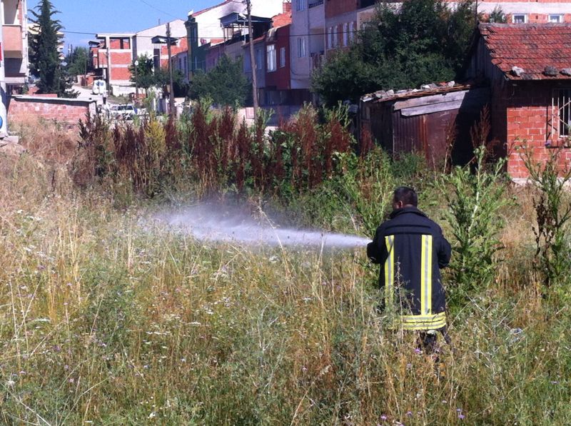 Çocuklar otları tutuşturunca