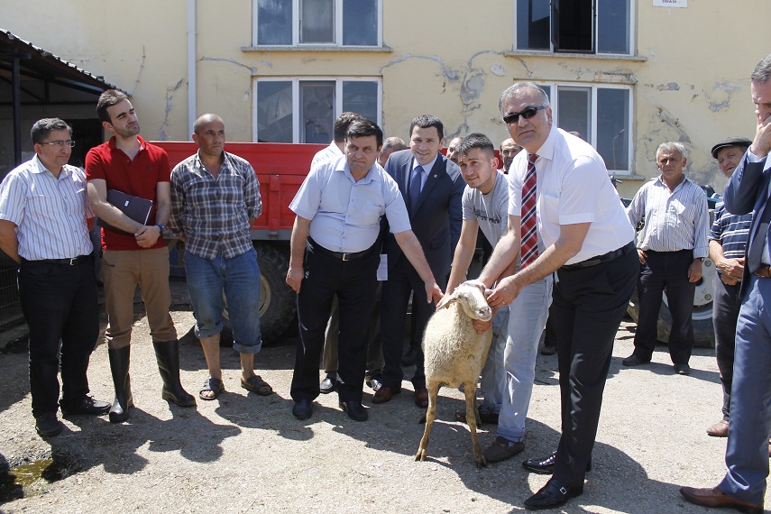 Hayvancılık destekleri sürüyor