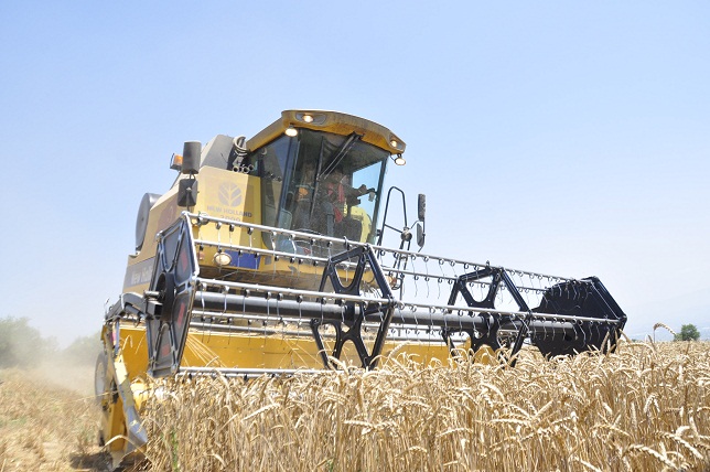 Buğday’da verim sevindirdi