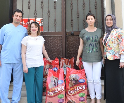 Sokak hayvanlarına mama