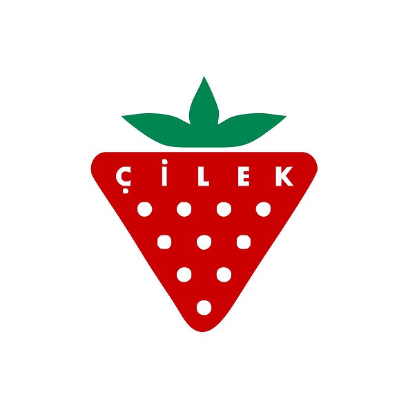 Çilek Mobilya, vergi rekortmeni