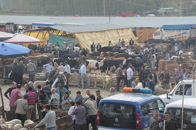 Hayvan pazarı ihaleye çıkıyor