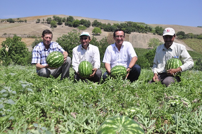 Karpuz üretiminde iddialıyız