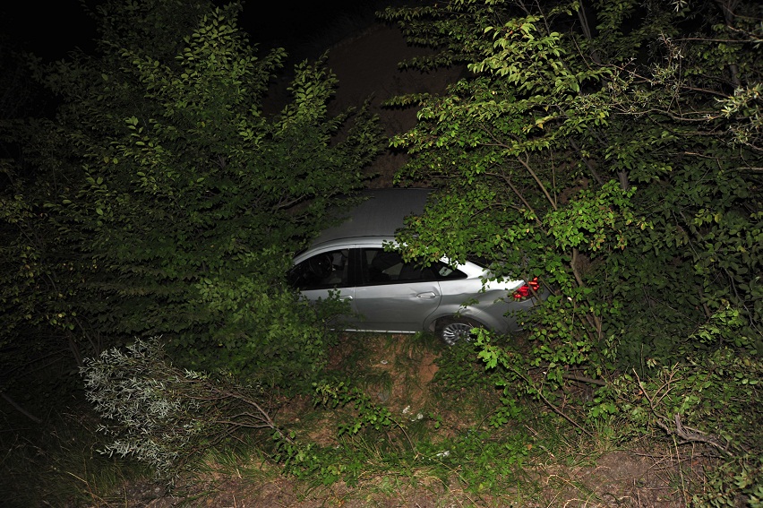 Kontrolü kaybedip çalılıklara uçtu