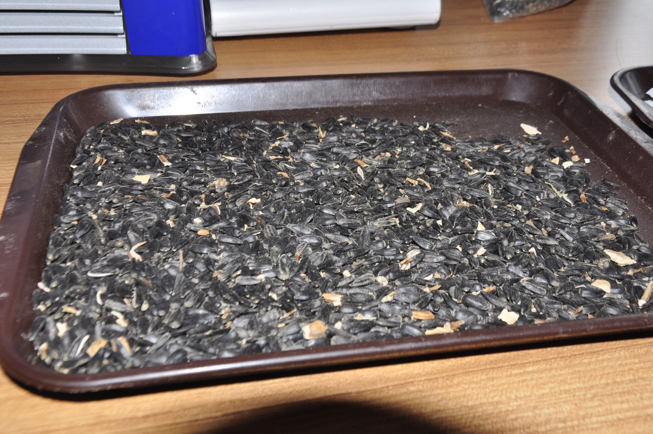 Numune testi devam ediyor