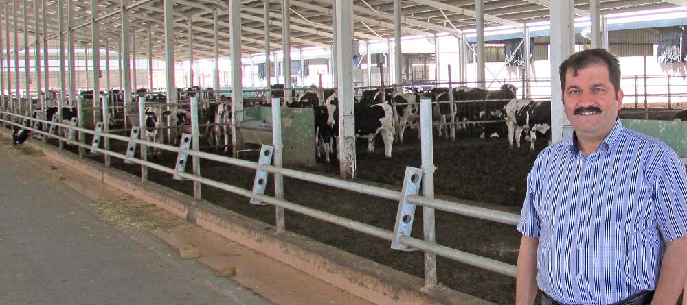 Kurban alırken bunlara dikkat