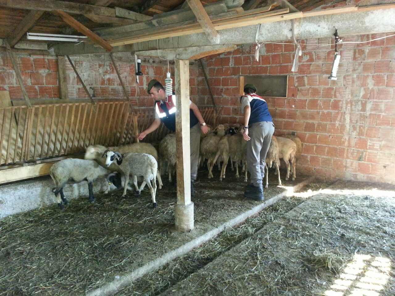 Jandarma hırsızlara göz açtırmadı