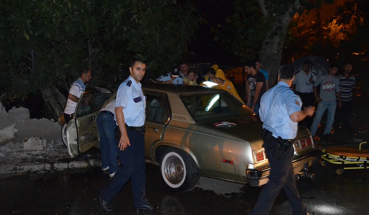 Yol kenarındaki ağaç canlarını kurtardı