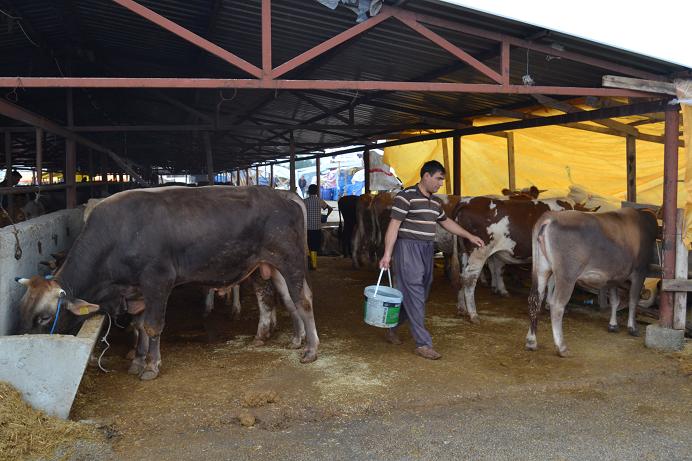 Kurbanlık satışları sürüyor