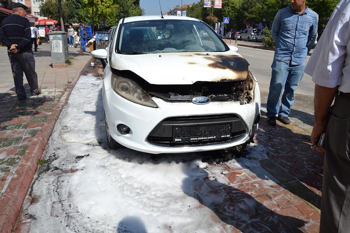 Park halindeki araç alev aldı