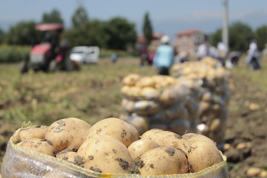 İnegöl tarımı masaya yatırılıyor