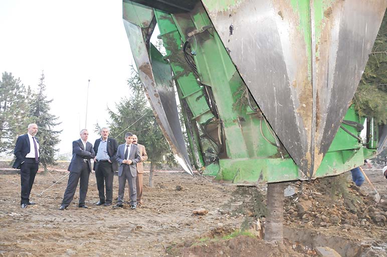 Belediye ağaçların yerini değiştirdi