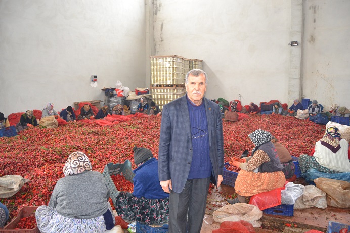 Kulaca’dan Hollanda’ya 400 ton salça