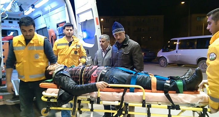 İnek trafiği alt üst etti