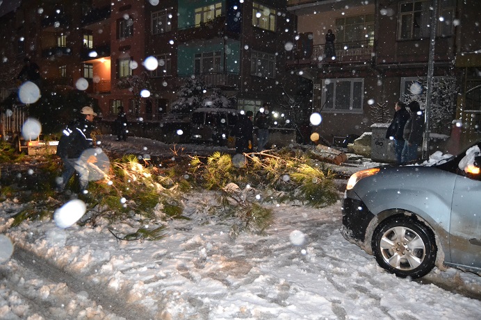 Yoğun kar yağışı ağaçları da etkiledi