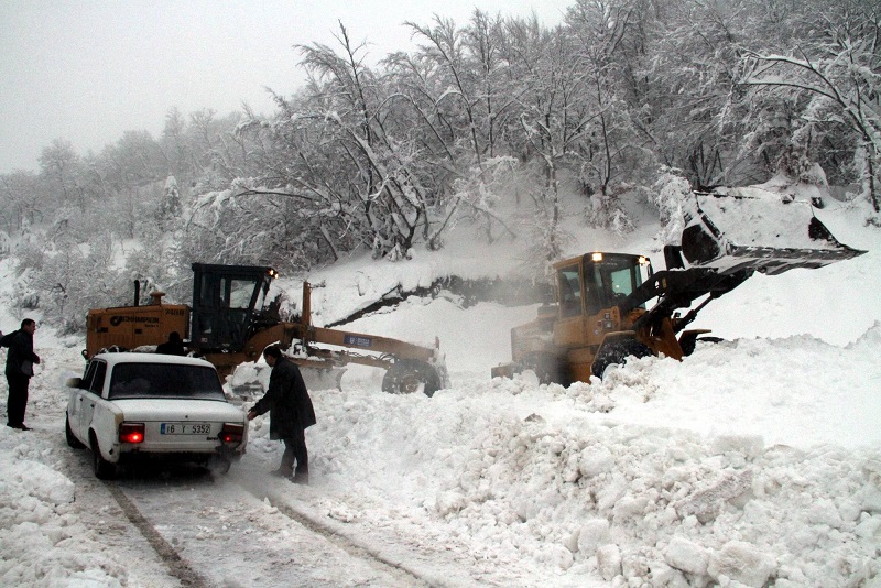 Daha yeni açılmışlardı