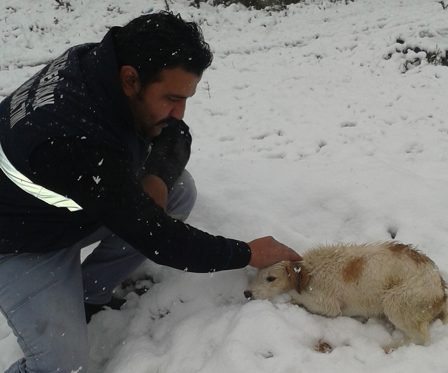 Belediye’den yavru hayvanlara yardım eli