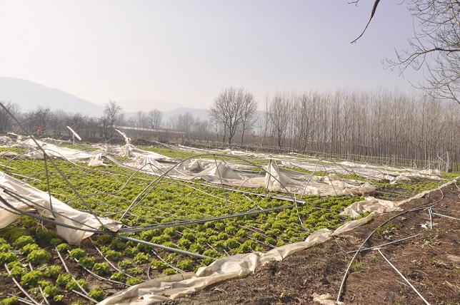 Seralara lodos darbesi