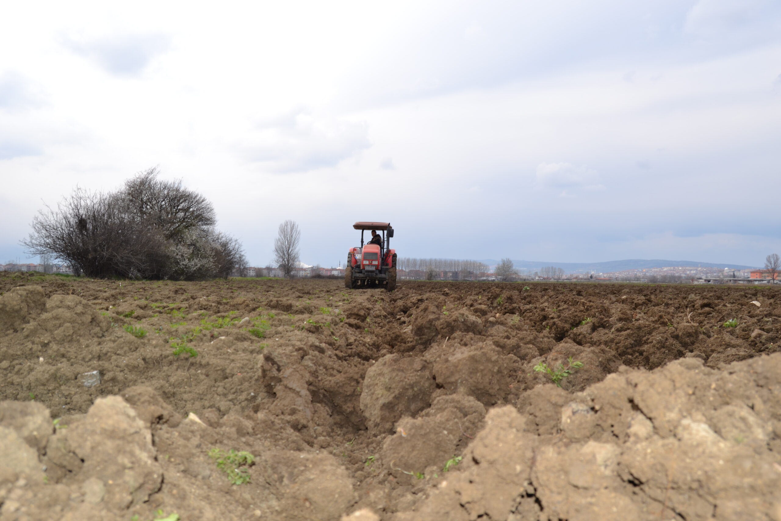 Patates ekimleri 2 katına çıktı