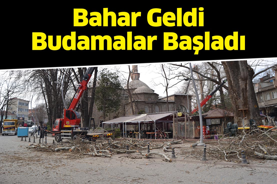 Bahar geldi budamalar başladı