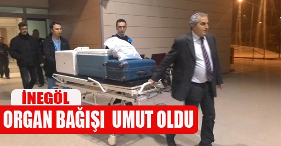 Bitkisel hayata girdi, organları hayat verdi