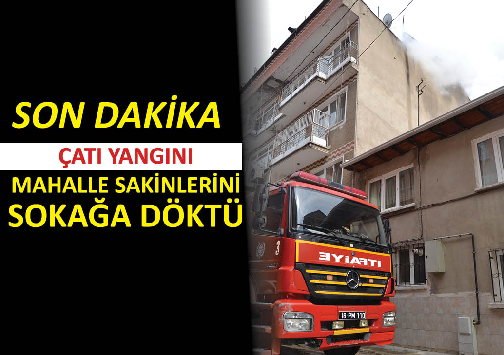 Son Dakika Son Dakika Son Dakika