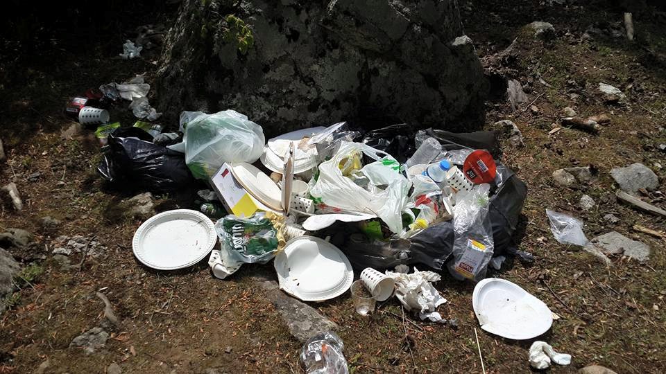 Çevre katliamına dur!