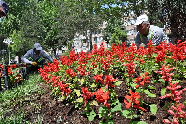 Yaz geldi, İnegöl çiçek açtı