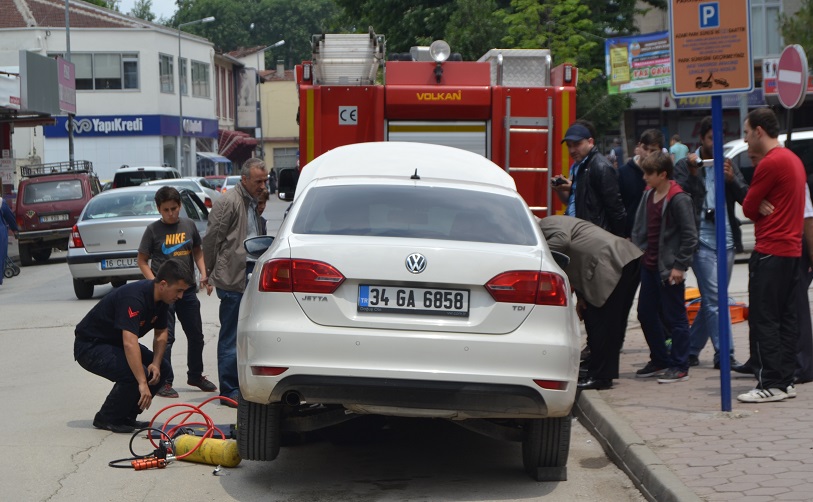 Minik kedi çarşıyı birbirine kattı