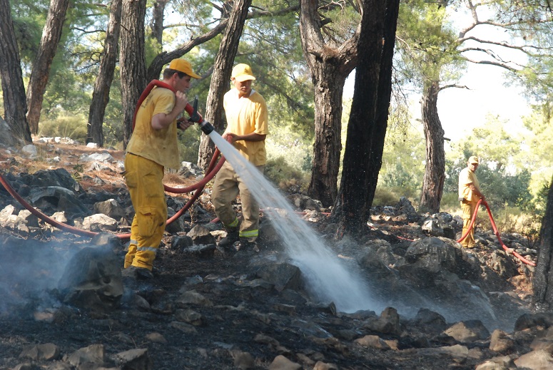Ormanlar koruma altında