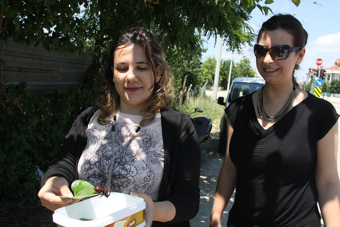 İDOHA uyardı; toplamayın!