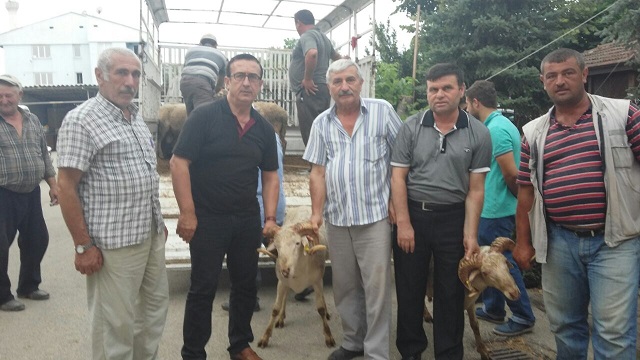 Çiftçiye koç desteği