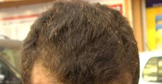 İnegöl’de sinek istilası!