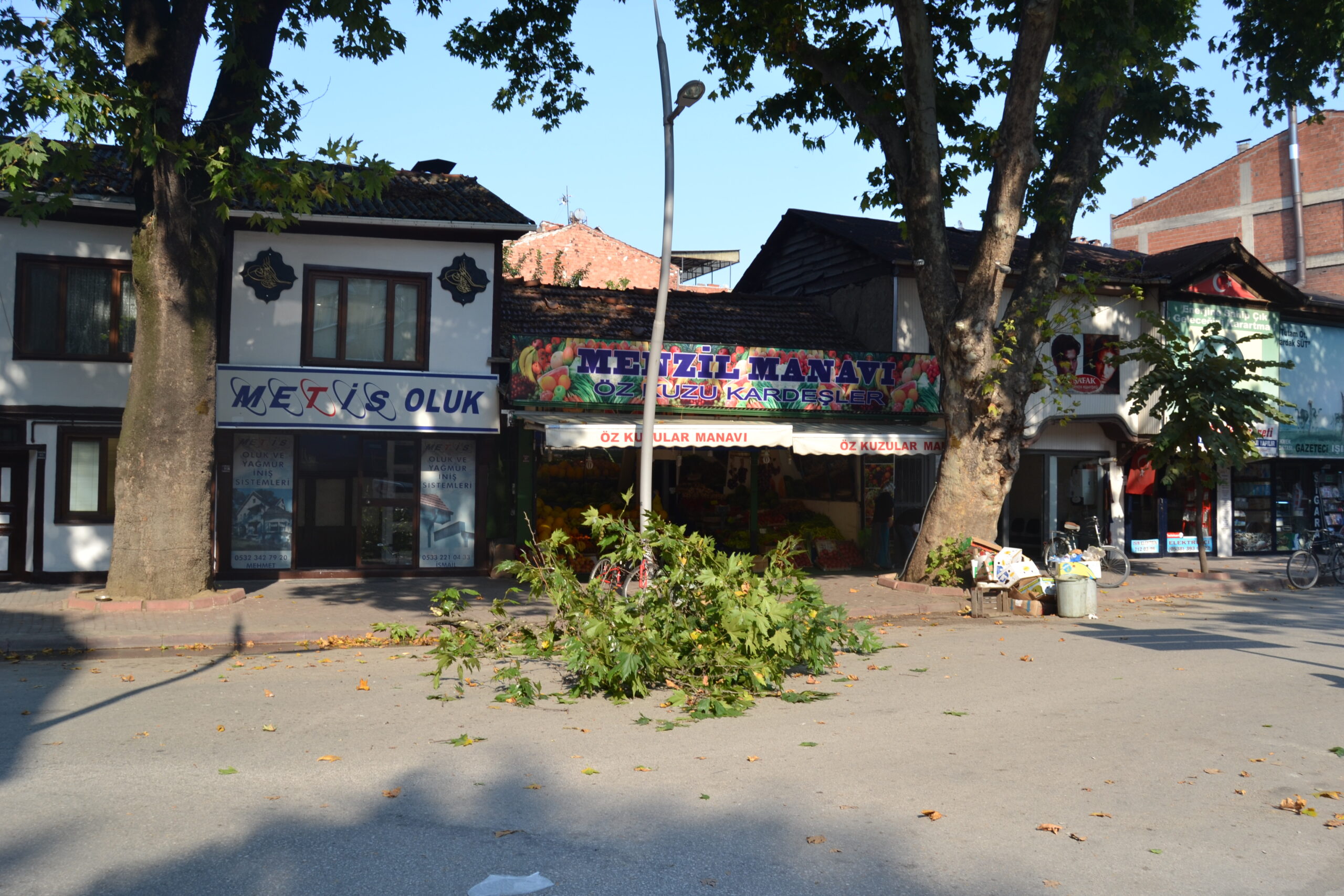 Dal düştü trafik durdu