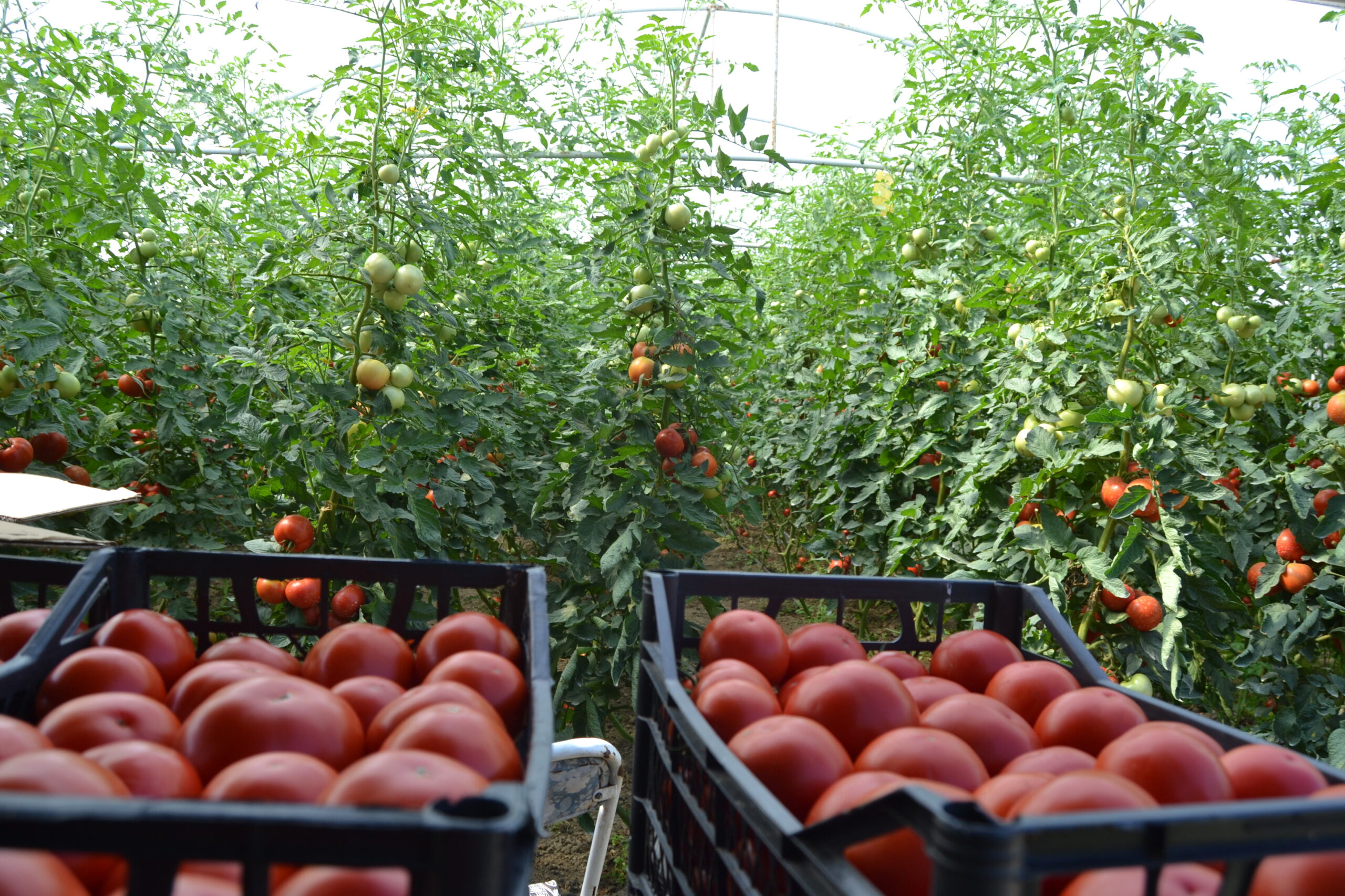 İnegöl ekonomisine katkısı 632 bin TL