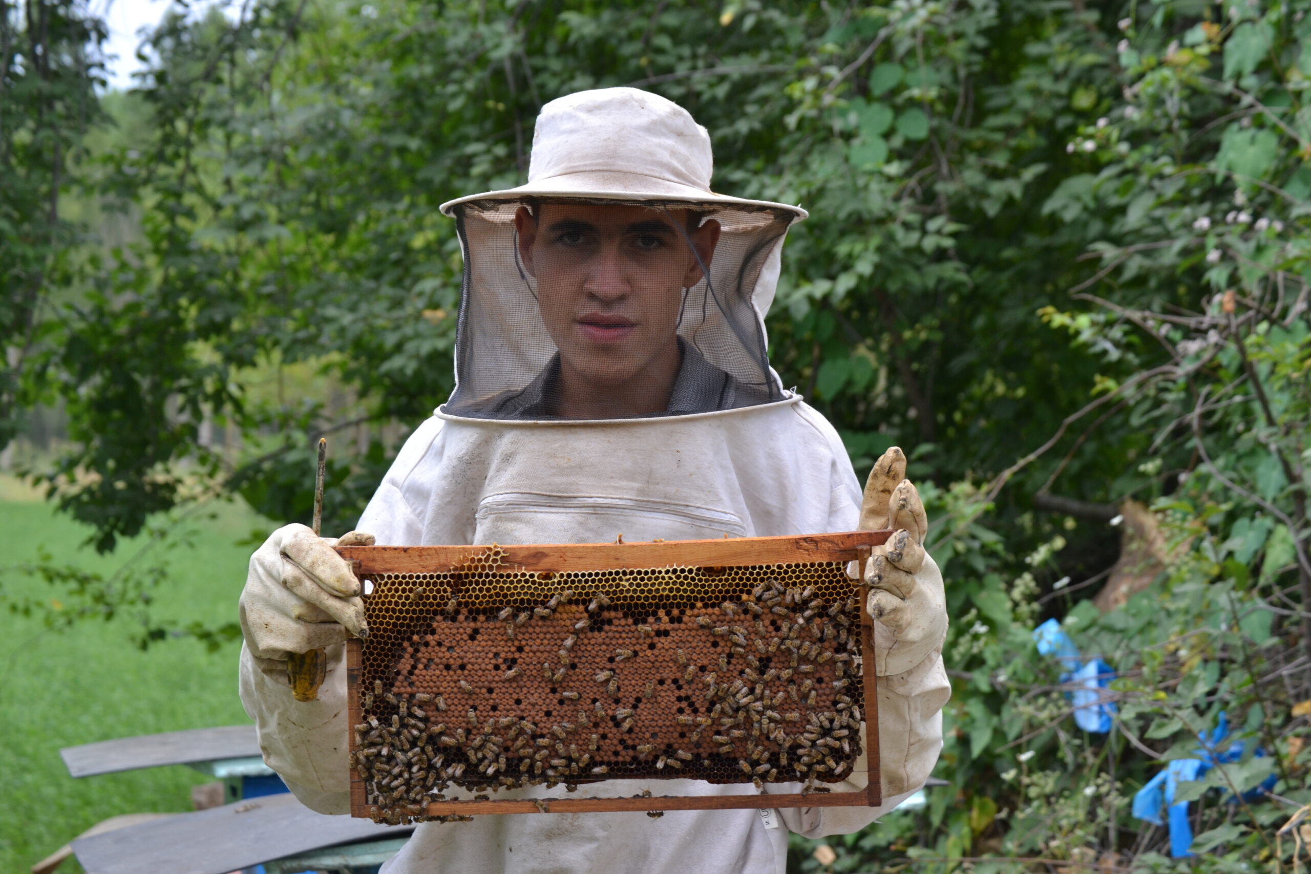 Türkiye’nin en genç arıcısı