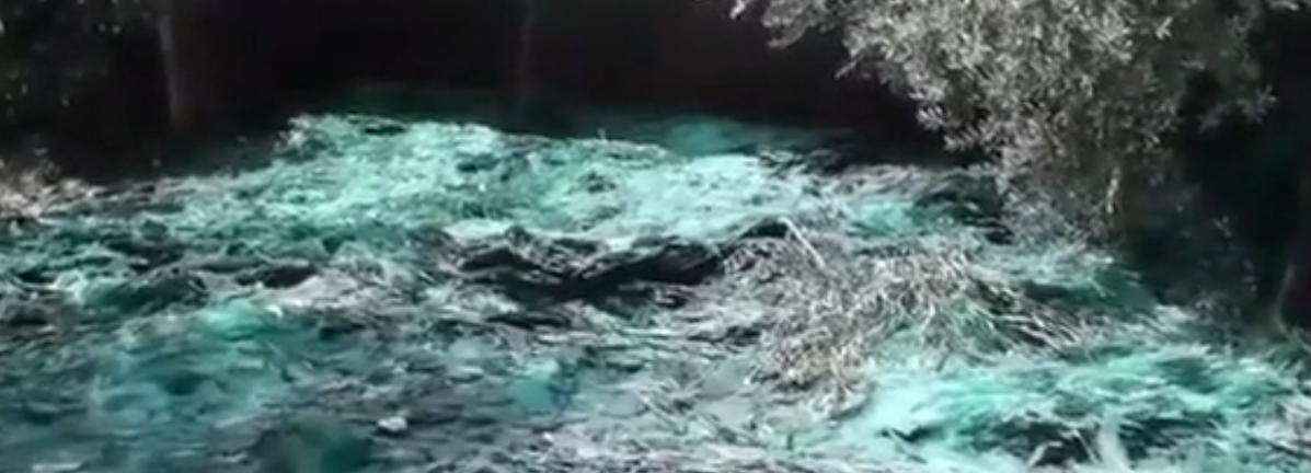 Cam yüklü TIR devrildi