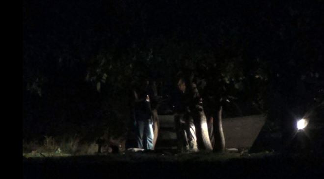 Kendini ağaca asarak intihar etti