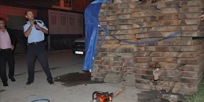 Kedi kurtarma operasyonu